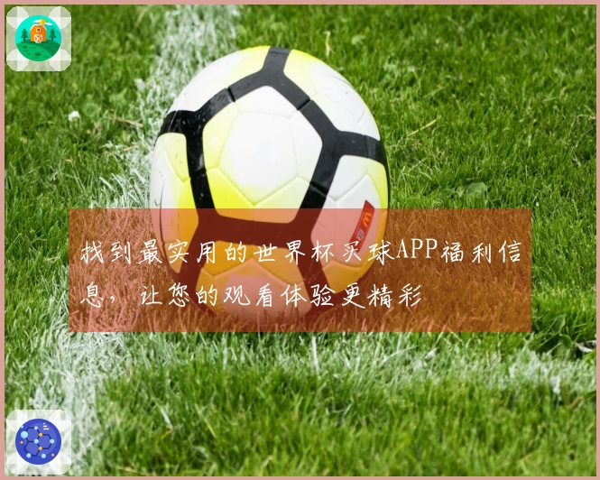 找到最实用的世界杯买球APP福利信息，让您的观看体验更精彩