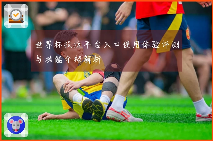 世界杯投注平台入口使用体验评测与功能介绍解析