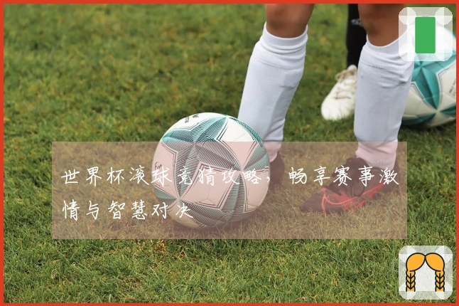 世界杯滚球竞猜攻略，畅享赛事激情与智慧对决