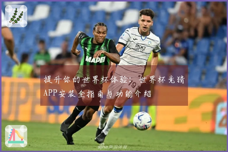 提升你的世界杯体验：世界杯竞猜APP安装全指南与功能介绍