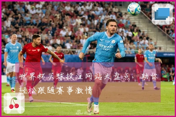 世界杯买球投注网站大盘点，助你轻松跟随赛事激情