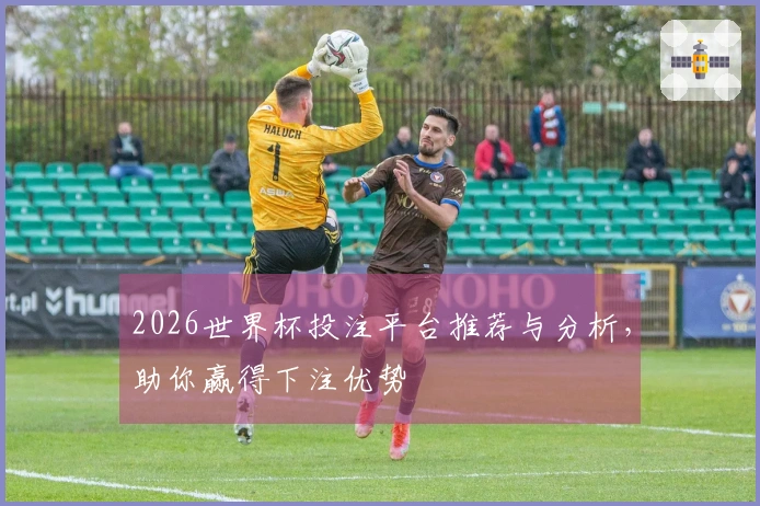 2026世界杯投注平台推荐与分析，助你赢得下注优势