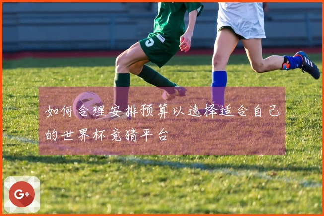 如何合理安排预算以选择适合自己的世界杯竞猜平台