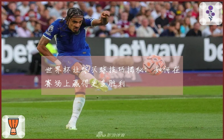 世界杯让球买球技巧揭秘：如何在赛场上赢得更多胜利