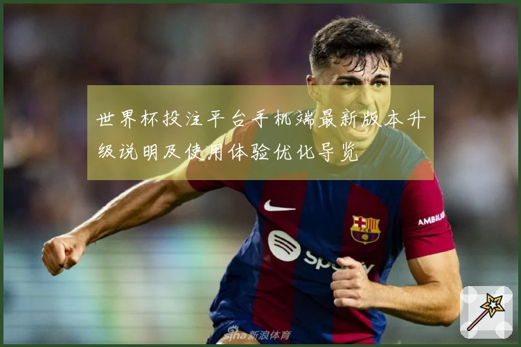 世界杯投注平台手机端最新版本升级说明及使用体验优化导览