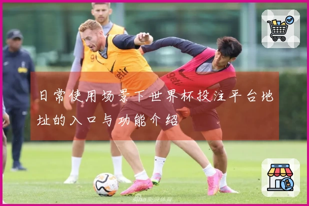 日常使用场景下世界杯投注平台地址的入口与功能介绍