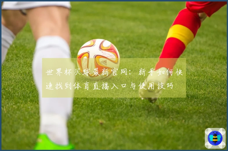 世界杯买球最新官网:新手如何快速找到体育直播入口与使用技巧