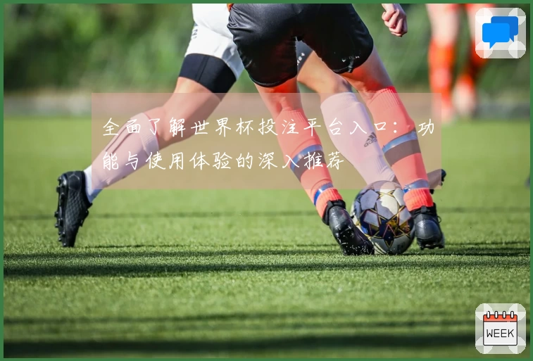 全面了解世界杯投注平台入口:功能与使用体验的深入推荐
