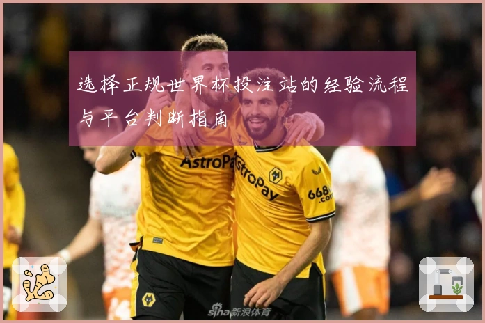 选择正规世界杯投注站的经验流程与平台判断指南