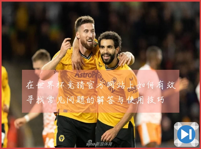 在世界杯竞猜官方网站上如何有效寻找常见问题的解答与使用技巧