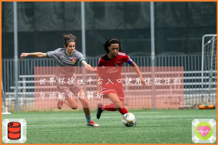 世界杯投注平台入口使用体验评测与功能介绍解析