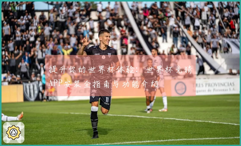 提升你的世界杯体验：世界杯竞猜APP安装全指南与功能介绍