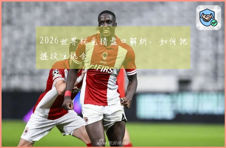 2026世界杯竞猜盘口解析，如何把握投注机会