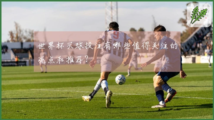 世界杯买球投注有哪些值得关注的亮点和推荐？