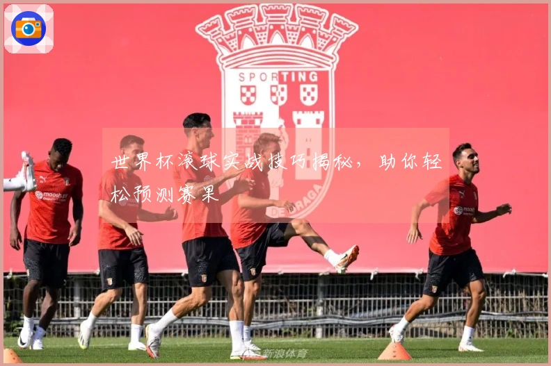 世界杯滚球实战技巧揭秘，助你轻松预测赛果