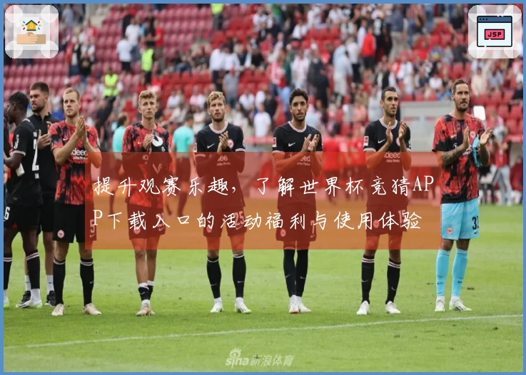 提升观赛乐趣，了解世界杯竞猜APP下载入口的活动福利与使用体验
