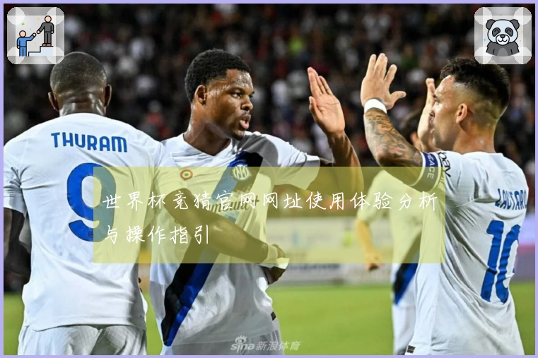 世界杯竞猜官网网址使用体验分析与操作指引